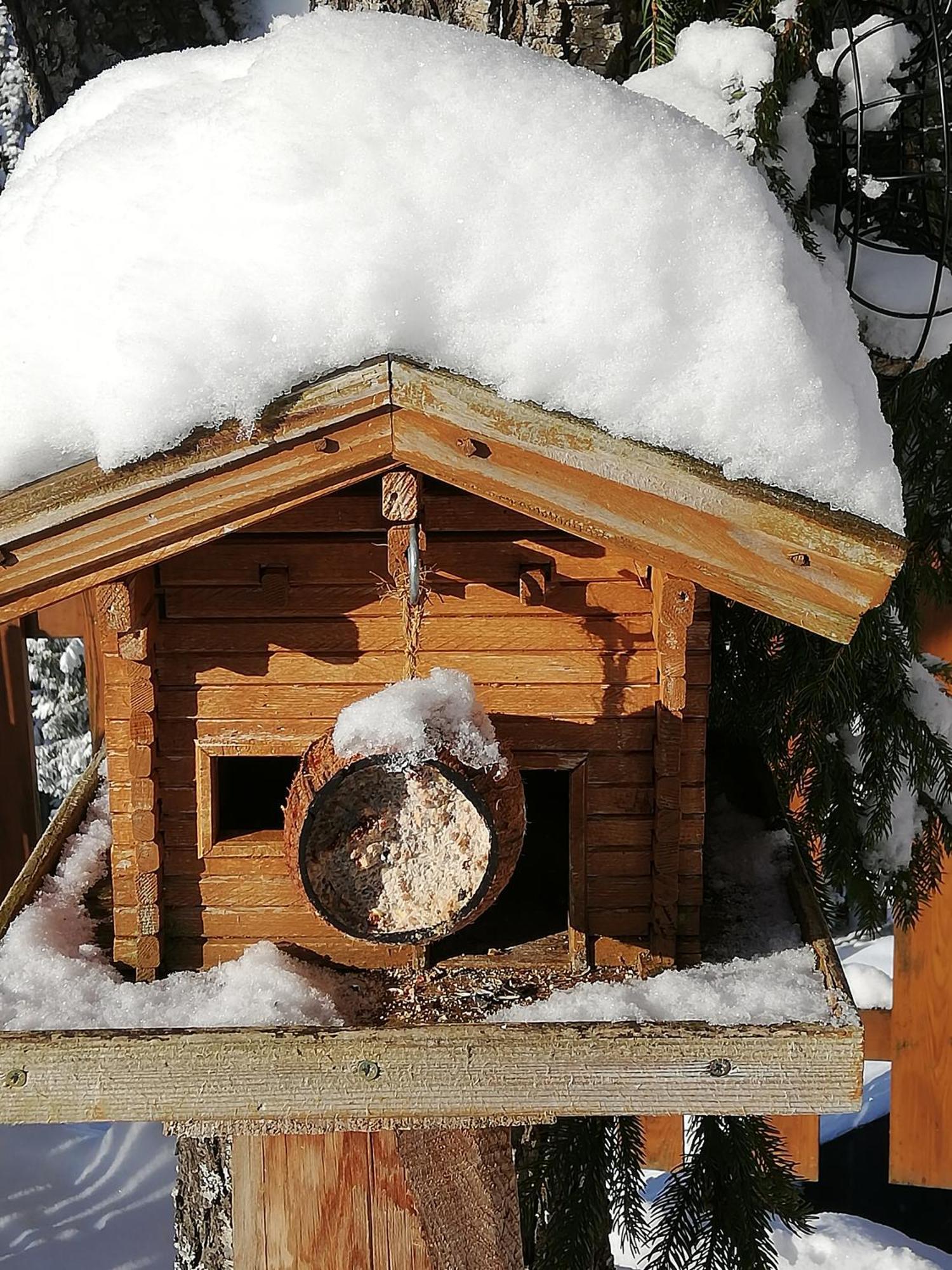 Bauernhof Bachgut Villa Mühlbach am Hochkönig Екстериор снимка