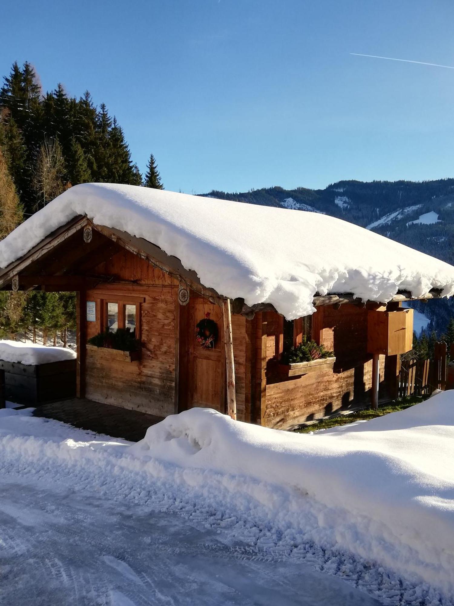 Bauernhof Bachgut Villa Mühlbach am Hochkönig Екстериор снимка