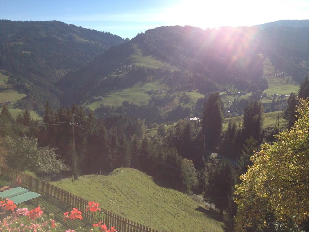 Bauernhof Bachgut Villa Mühlbach am Hochkönig Стая снимка